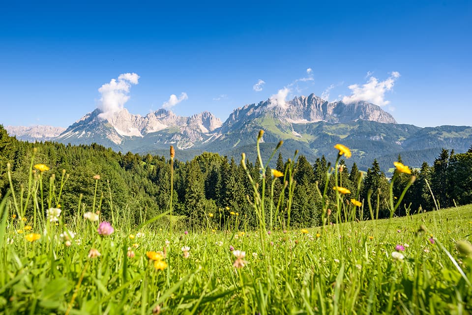 Kaisergebirge und Almabtrieb Gramai Alm