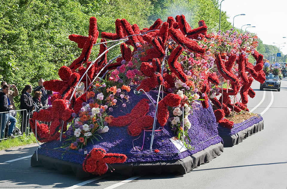 Blumenkorso Lisse und Keukenhof