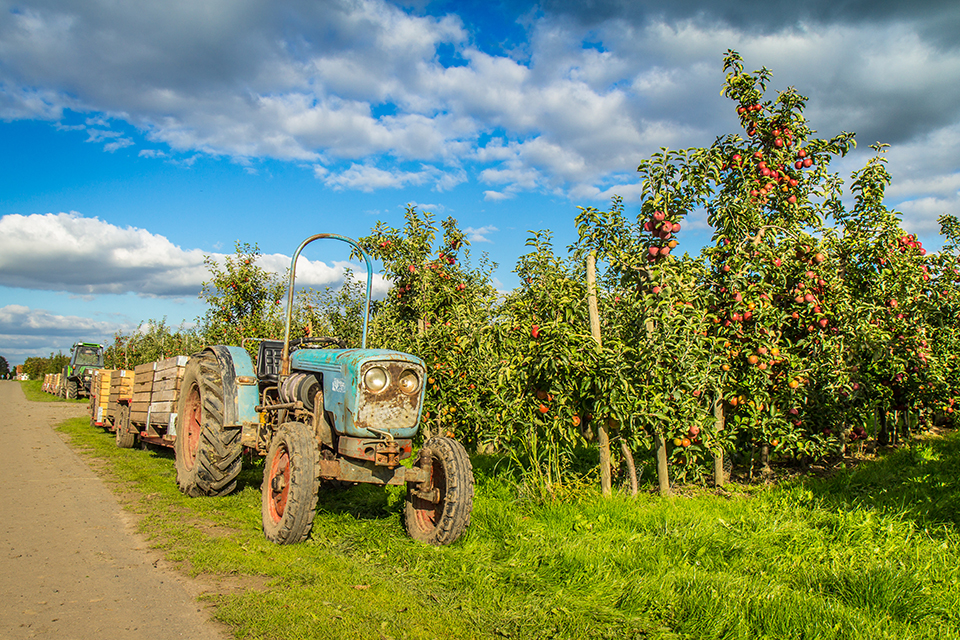 Altes Land und Bremerhaven