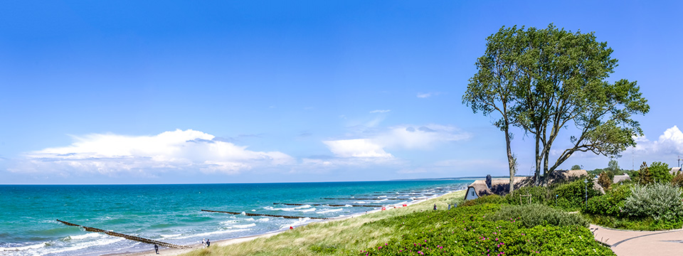 Moin Ostfriesland - Leer