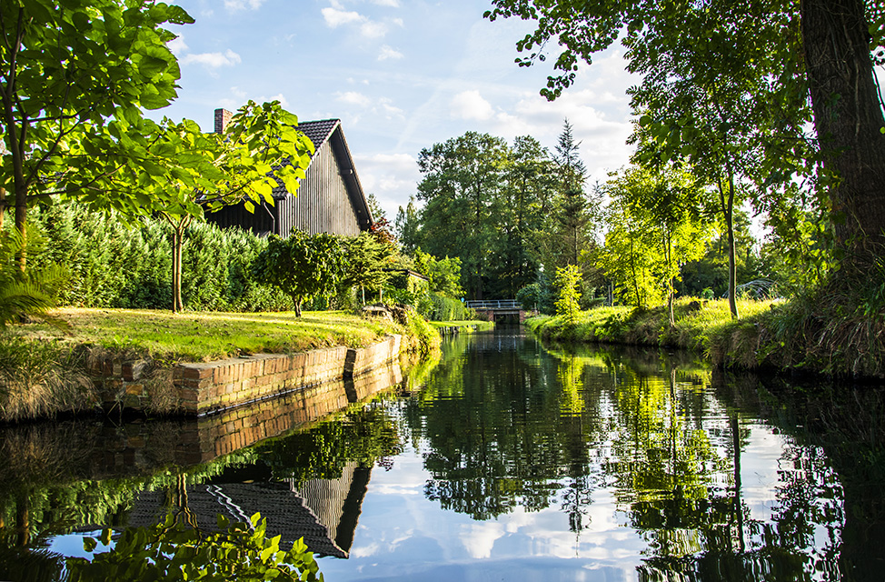 Natur pur im Spreewald