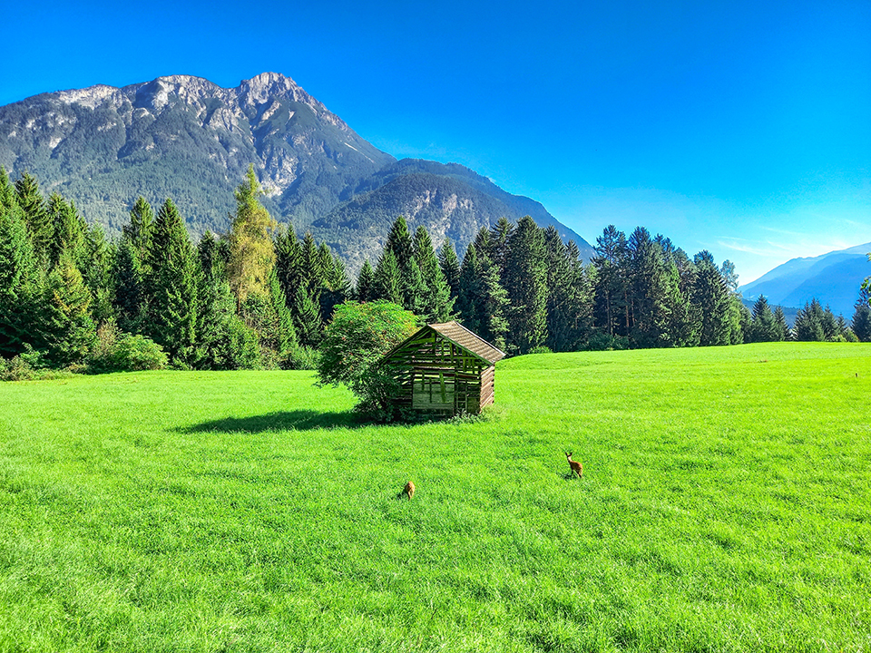 Alpenzauber in Arzl - Traumhaftes Pitztal