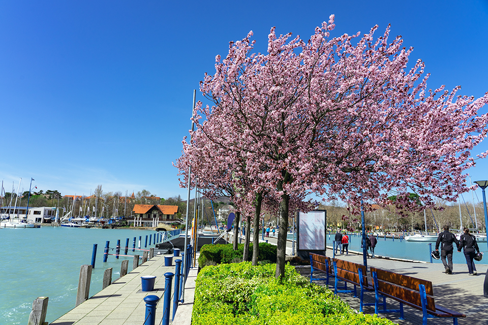 Radreise Balaton