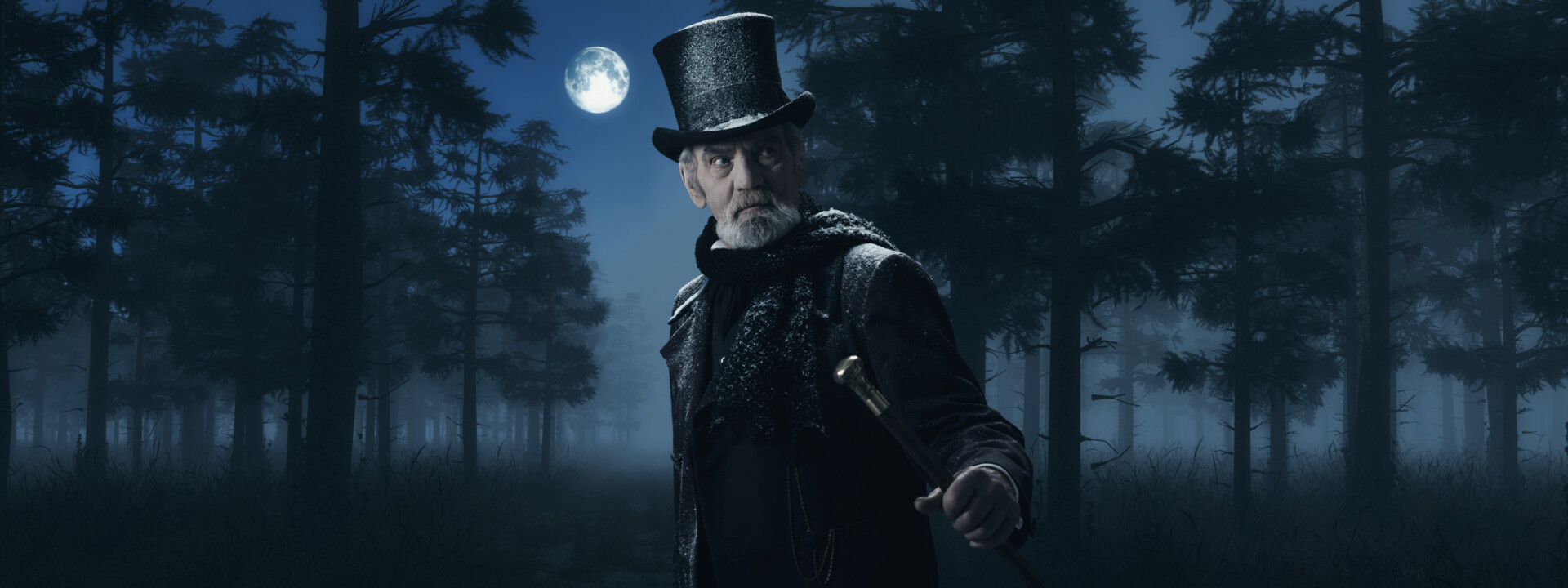 Scrooge Festival Arcen