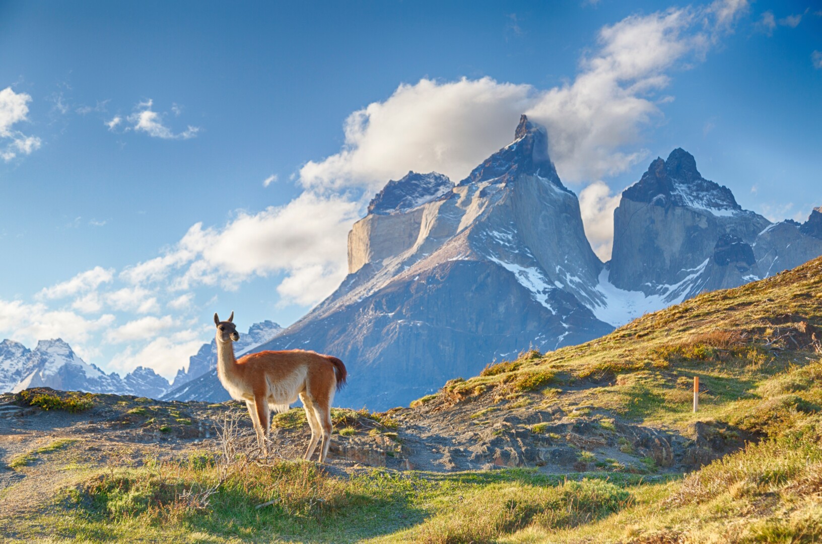 Argentinien und Chile