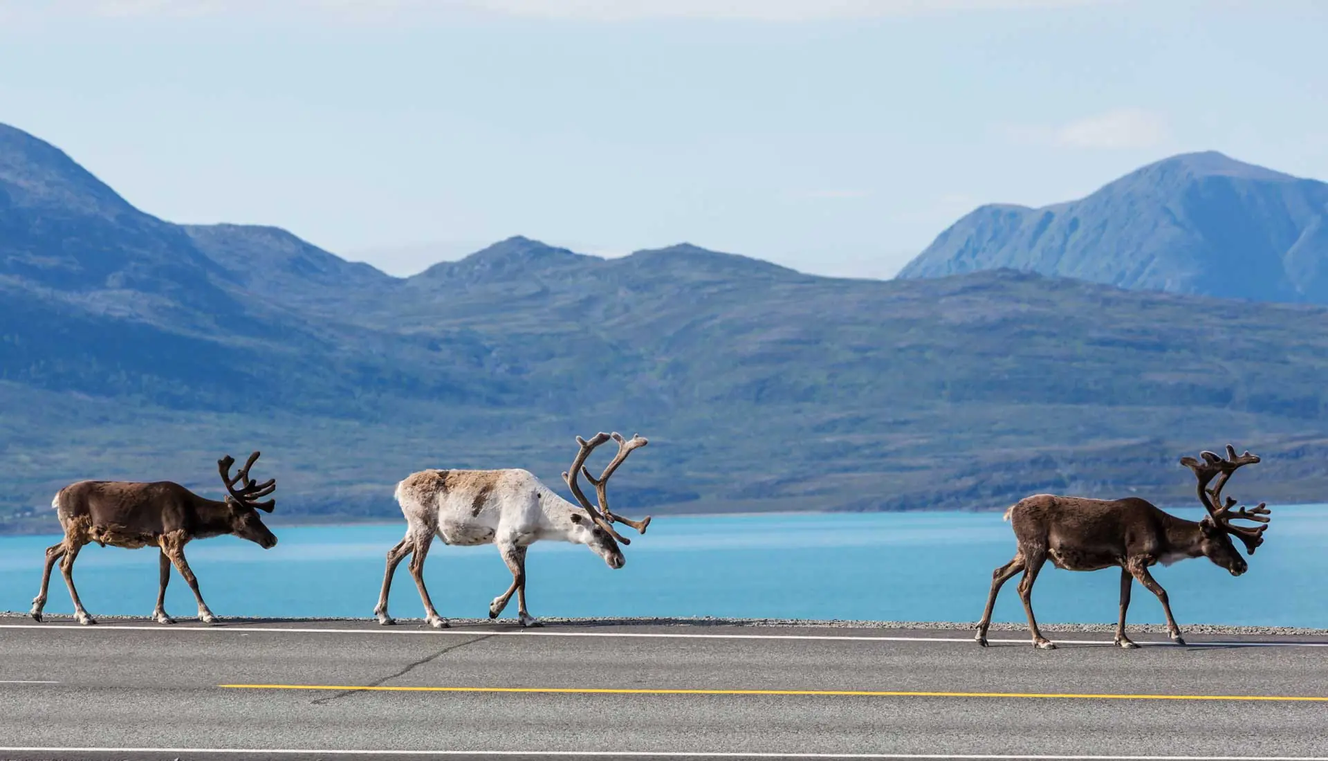 Reiseziel Skandinavien